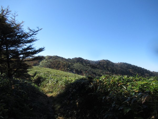登山道